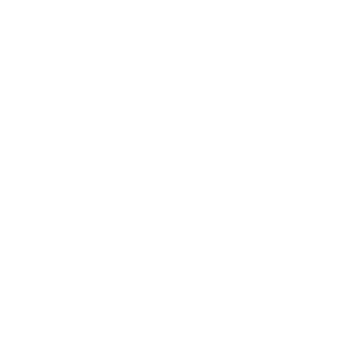cruise logo
