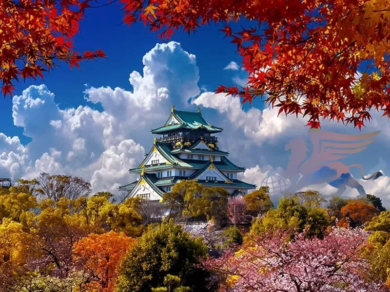 تور کره جنوبی و ژاپن: یک سفر شگفت‌انگیز به دنیای شرق آسیا - پرواز بلورین شیردال عکس وبلاگ