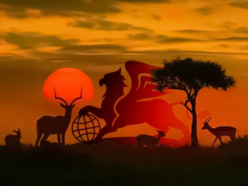 تور آفریقای جنوبی : سفری رویایی به سان سیتی، کیپ تاون و ژوهانسبورگ - پرواز بلورین شیردال عکس وبلاگ