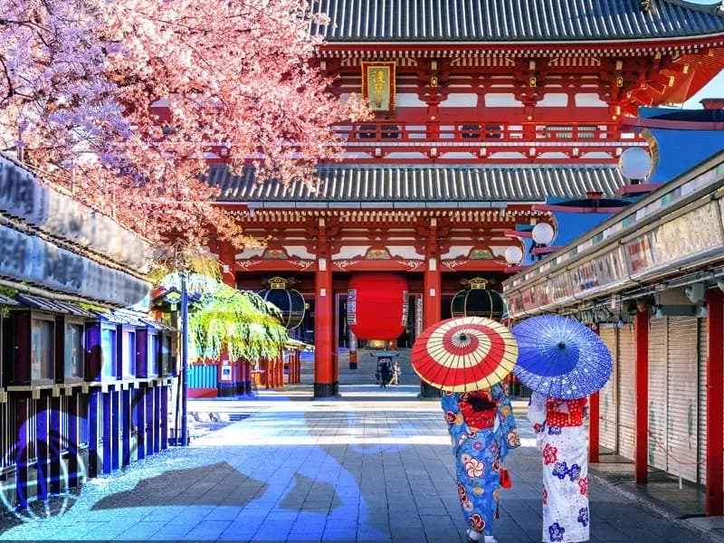 تور نوروز ژاپن ۱۴۰۴: سفر به سرزمین آفتاب تابان با پرواز بلورین شیردال - پرواز بلورین شیردال عکس وبلاگ