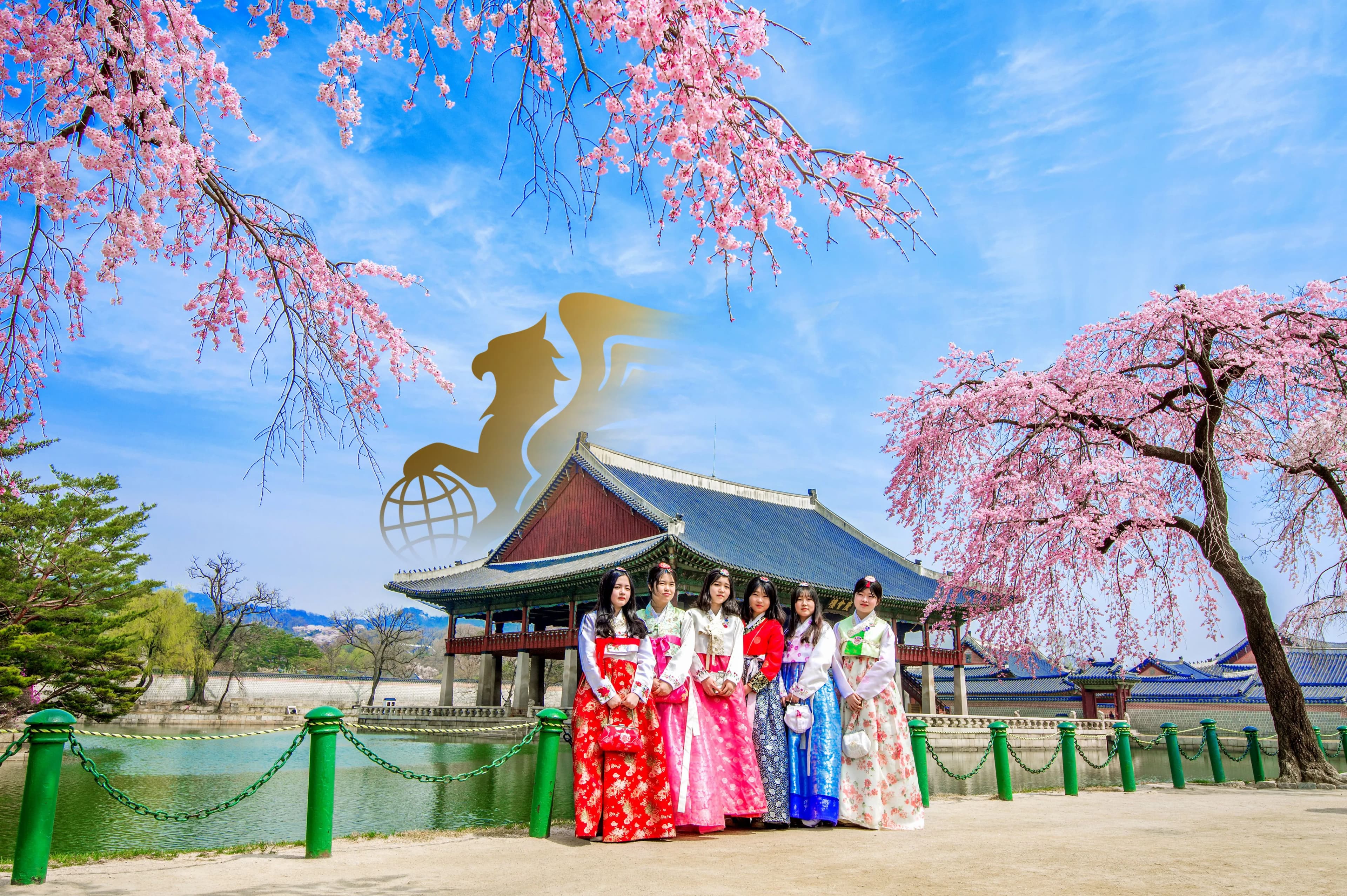 رزرو تور کره جنوبی | تجربه‌ای فراموش‌نشدنی با پرواز بلورین شیردال - پرواز بلورین شیردال عکس وبلاگ