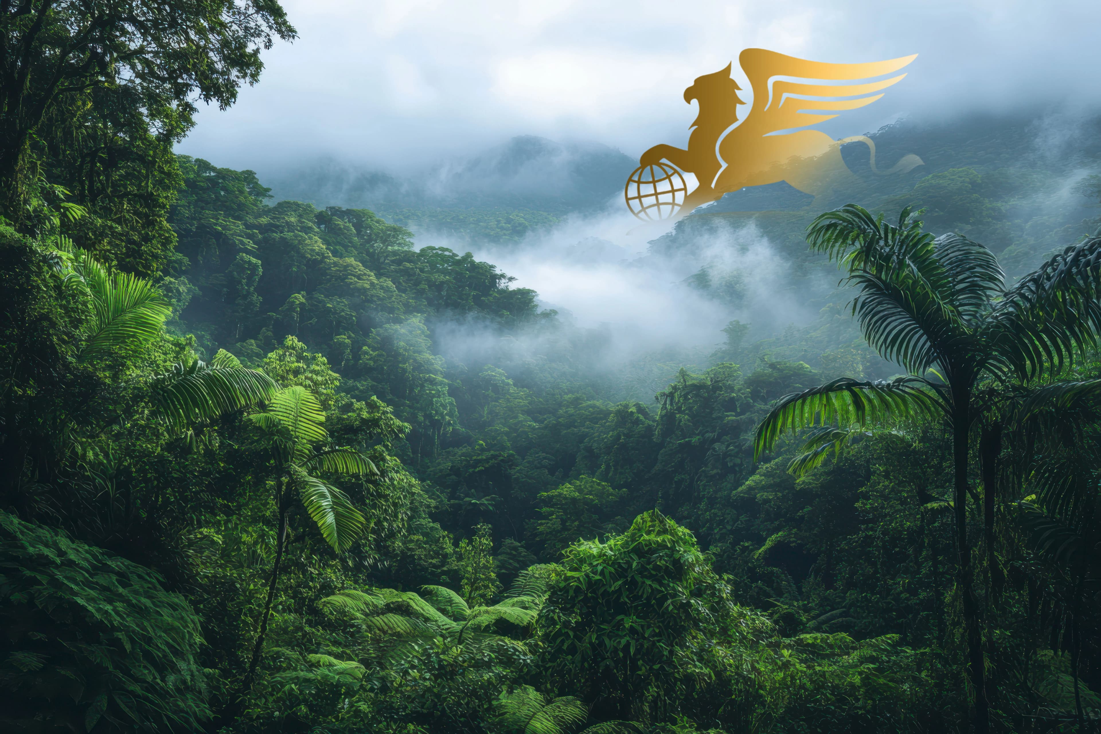 سفر به ماداگاسکار؛ راهنمای جامع ماجراجویی در جزیره‌ای فراتر از رؤیاها - پرواز بلورین شیردال عکس وبلاگ