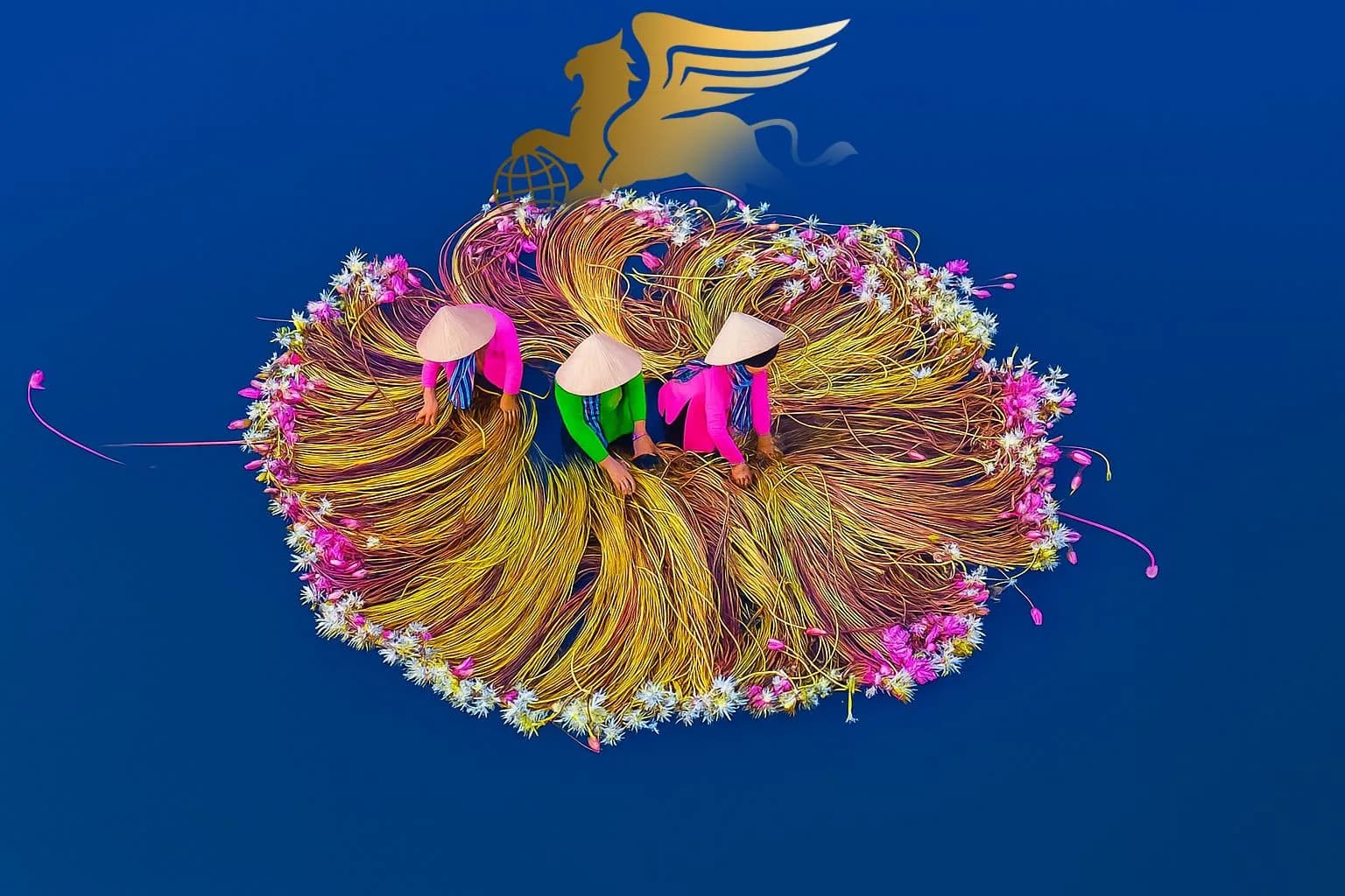 دلتای مکونگ ویتنام | تاریخچه، جاذبه‌ها و راهنمای کامل سفر - پرواز بلورین شیردال عکس وبلاگ