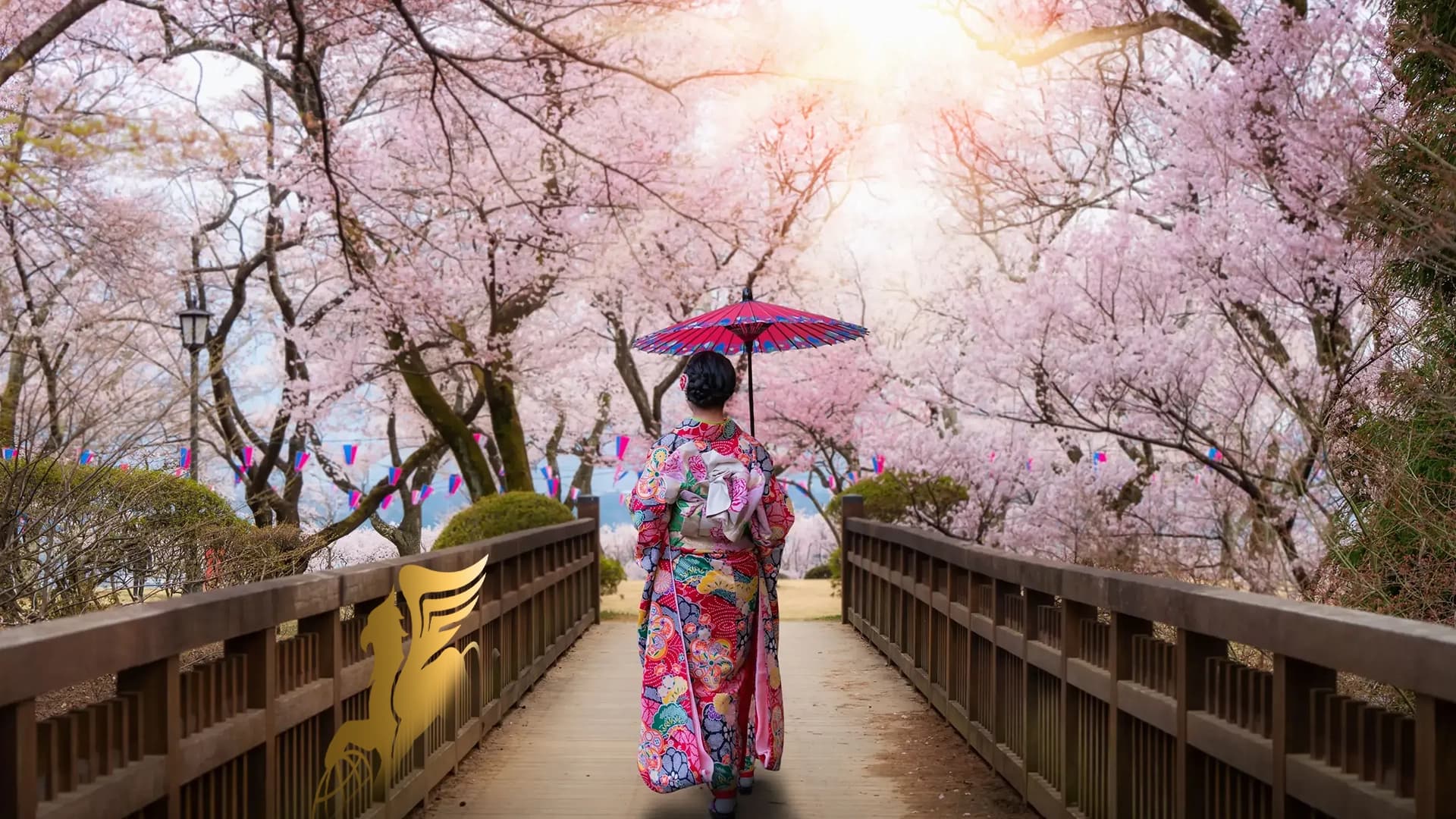 برنامه سفر ۱۳ روزه ژاپن ویژه ساکورا ۱۴۰۵: سمفونی رنگ‌ها در سرزمین آفتاب عکس وبلاگ