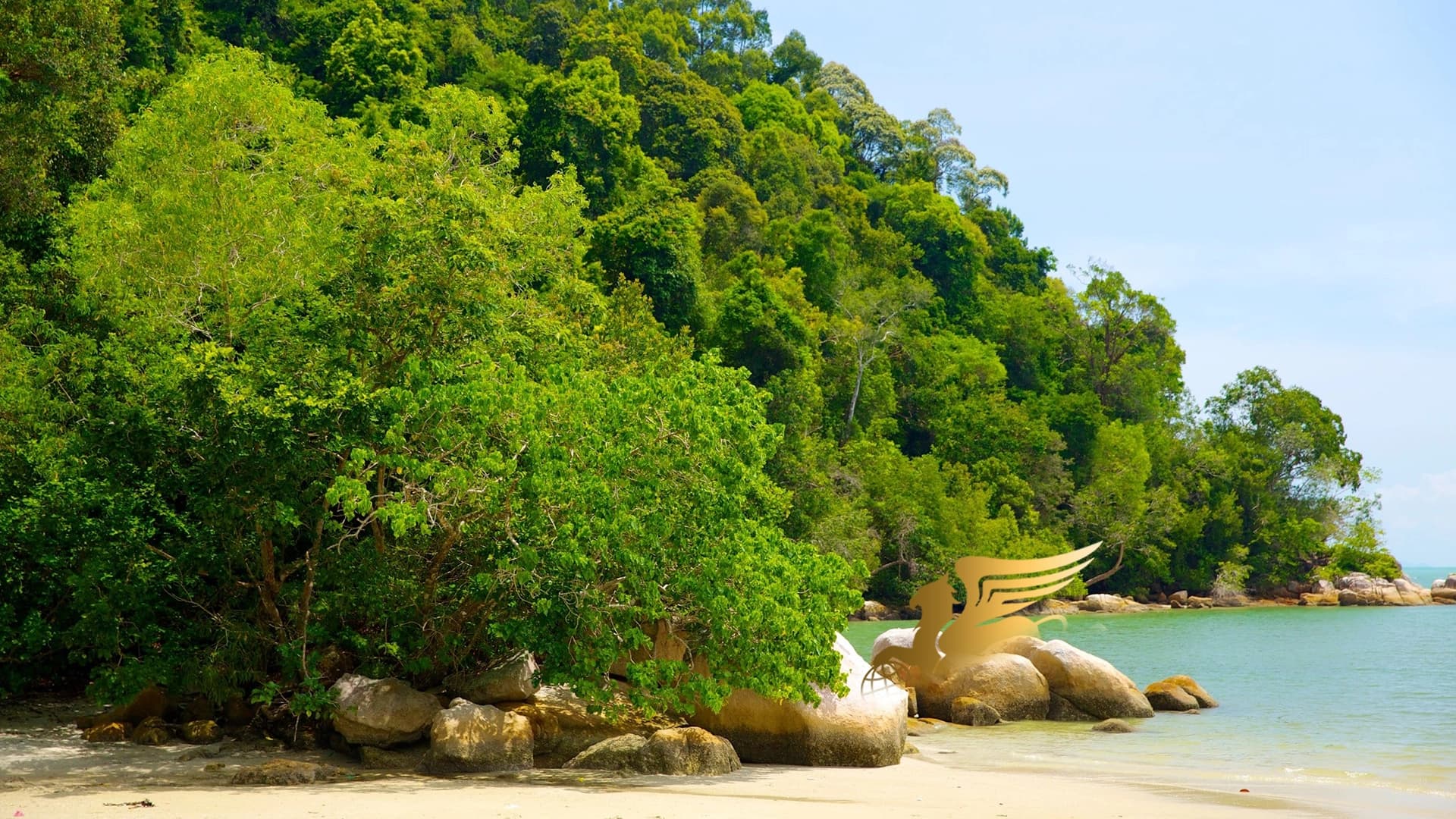 راهنمای کامل گشت و گذار در پارک ملی پنانگ؛ جواهر سبز مالزی عکس وبلاگ