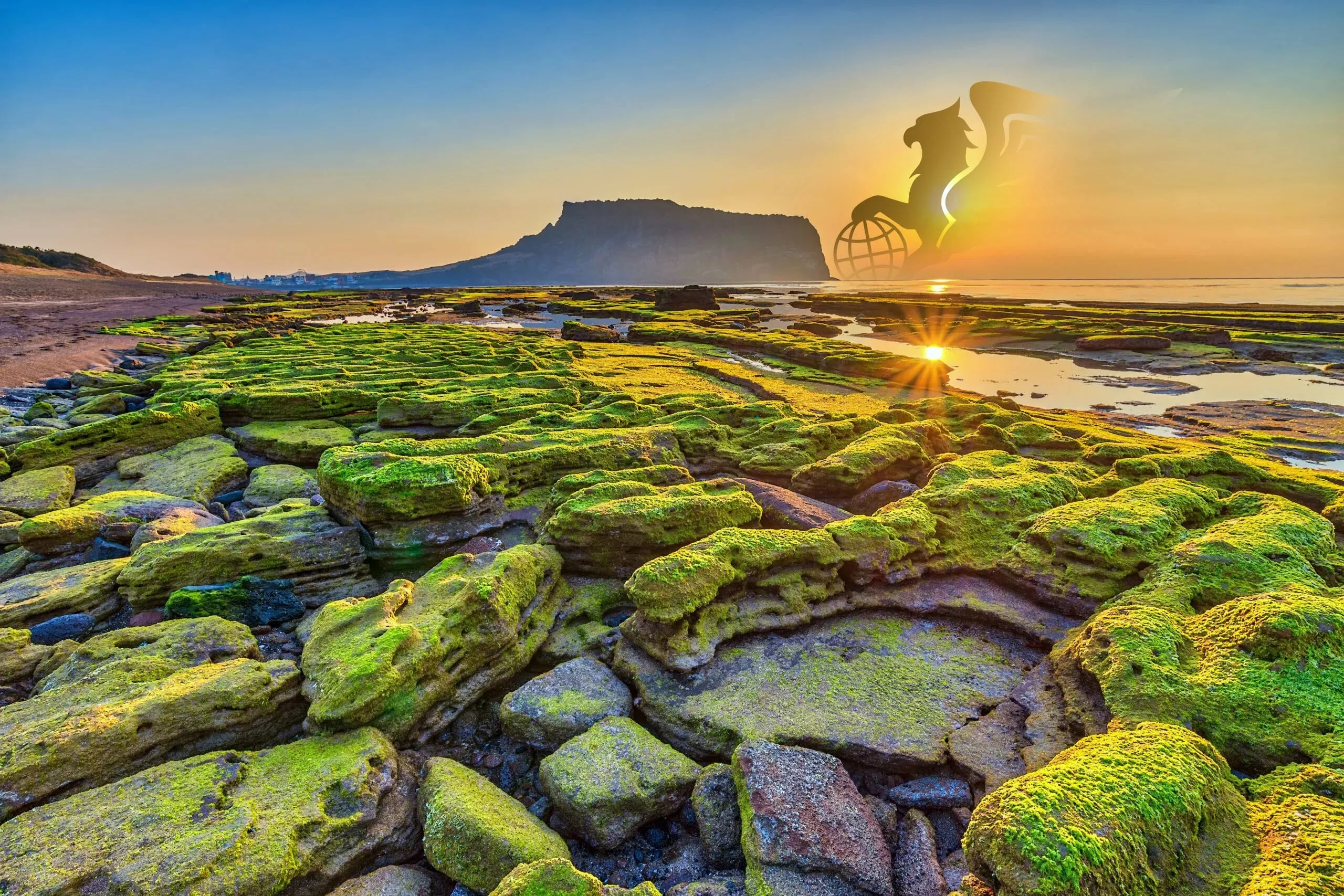 جزیره جیجو کجاست؟ راهنمای کامل سفر به شگفت‌انگیزترین مقصد کره جنوبی - پرواز بلورین شیردال - تصویر وبلاگ