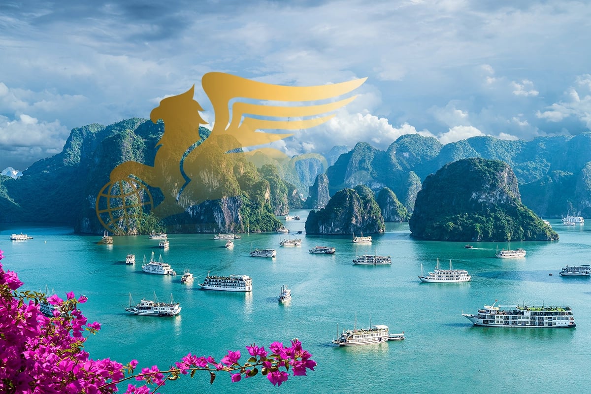 تورهای متنوع ویتنام؛ سفری جادویی به شرق اسرارآمیز - پرواز بلورین شیردال - تصویر وبلاگ