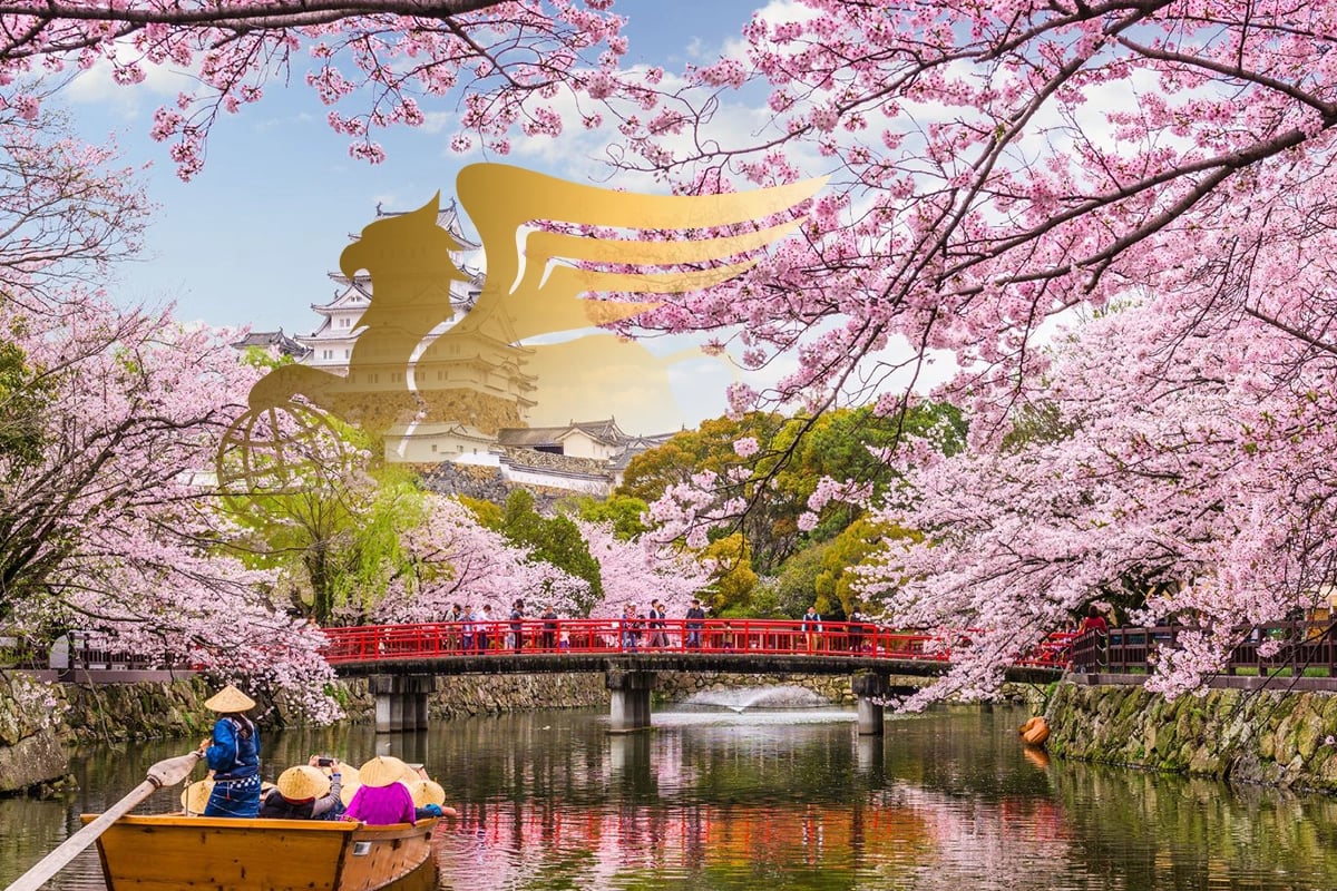 تورهای متنوع ژاپن؛ سفر به دنیای تضادهای هماهنگ - پرواز بلورین شیردال - تصویر وبلاگ