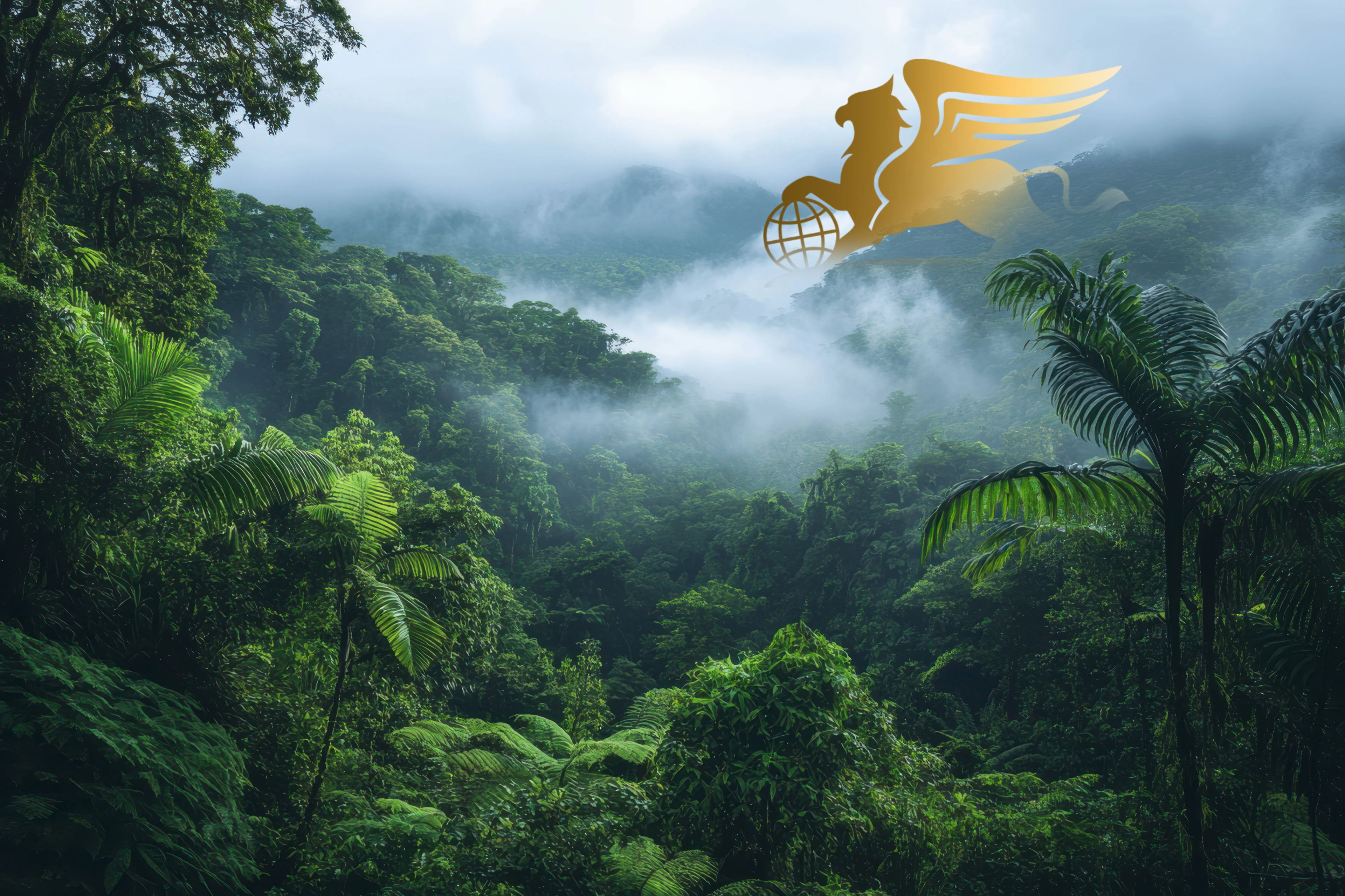 سفر به ماداگاسکار؛ راهنمای جامع ماجراجویی در جزیره‌ای فراتر از رؤیاها - پرواز بلورین شیردال - تصویر وبلاگ