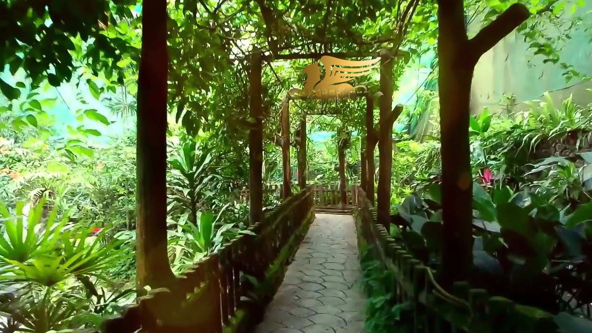 پارک پروانه‌های کوالالامپور؛ رقص رنگ‌ها در قلب جنگل‌های بارانی مالزی عکس اسلایدر