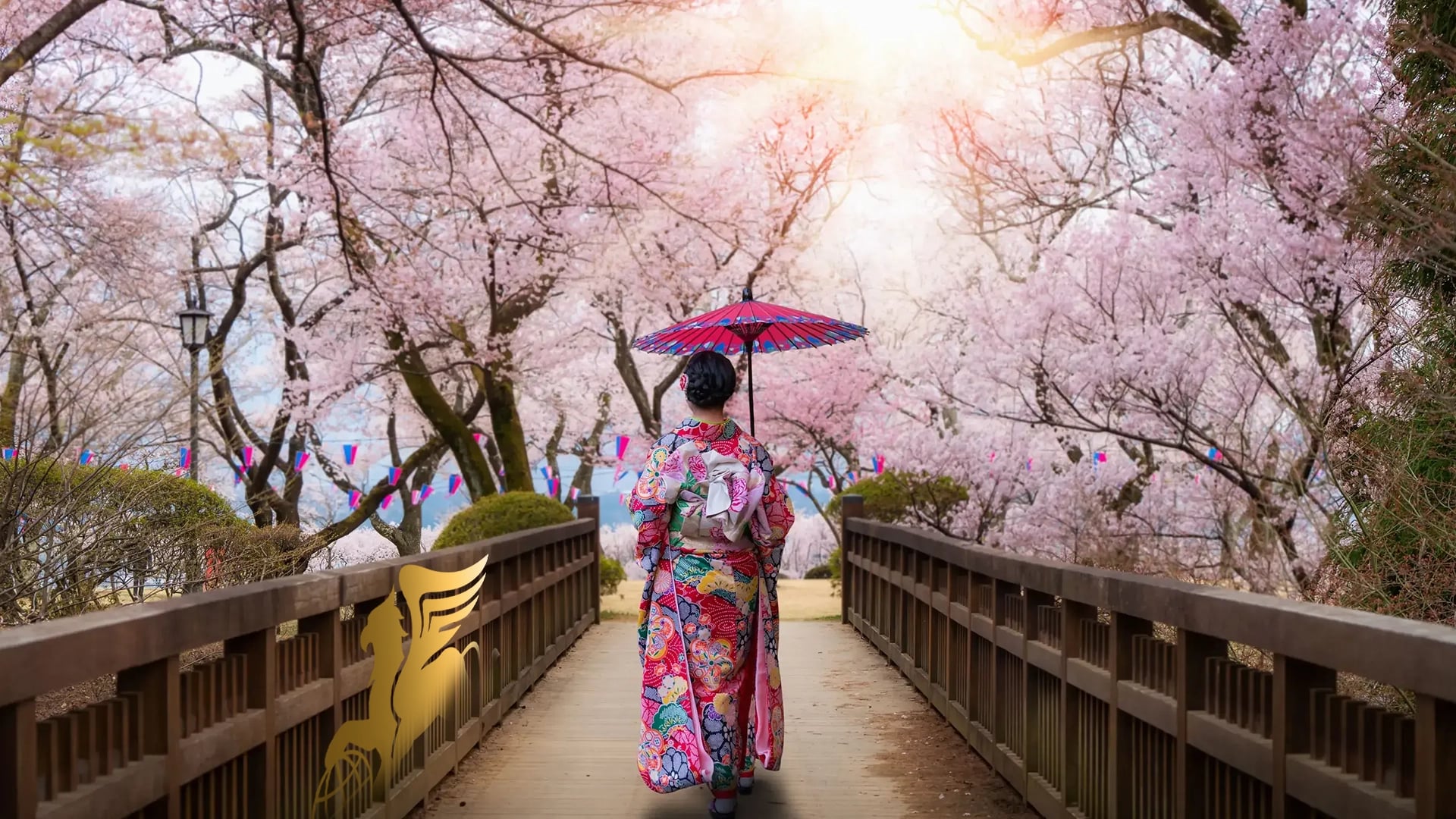 برنامه سفر ۱۳ روزه ژاپن ویژه ساکورا ۱۴۰۵: سمفونی رنگ‌ها در سرزمین آفتاب عکس اسلایدر