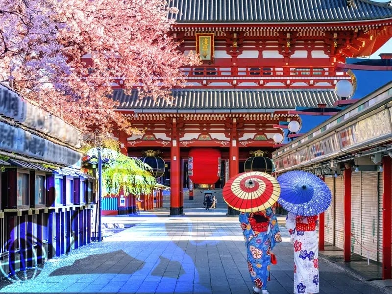 تور نوروز ژاپن ۱۴۰۴: سفر به سرزمین آفتاب تابان با پرواز بلورین شیردال - پرواز بلورین شیردال - تصویر وبلاگ