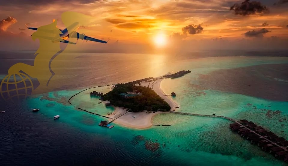 تورهای لوکس دریایی؛ سفری بیبدیل روی آب - پرواز بلورین شیردال - تصویر وبلاگ