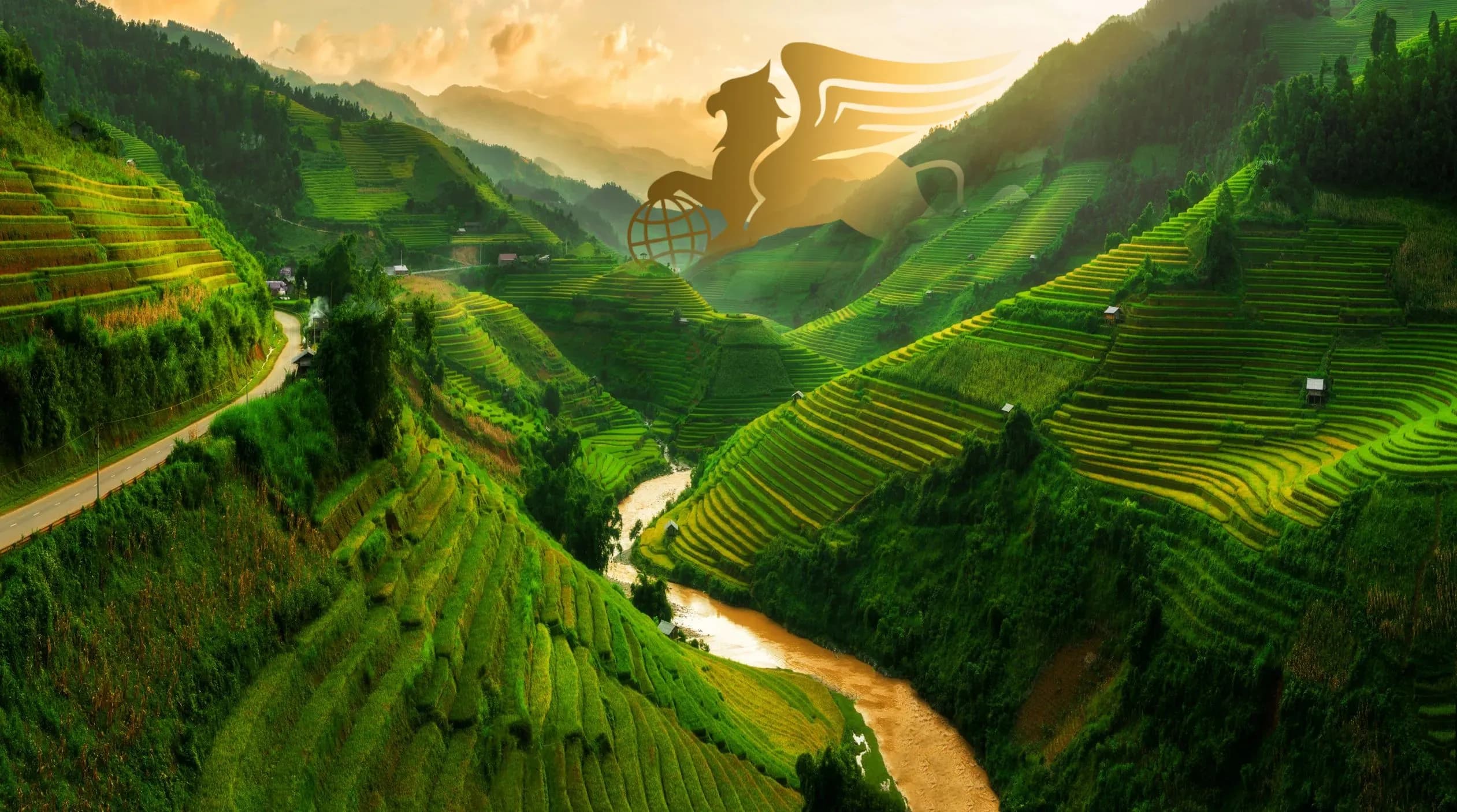 تور دور ویتنام؛ راهنمای کامل سفر به سرزمین شگفتیها - پرواز بلورین شیردال عکس وبلاگ