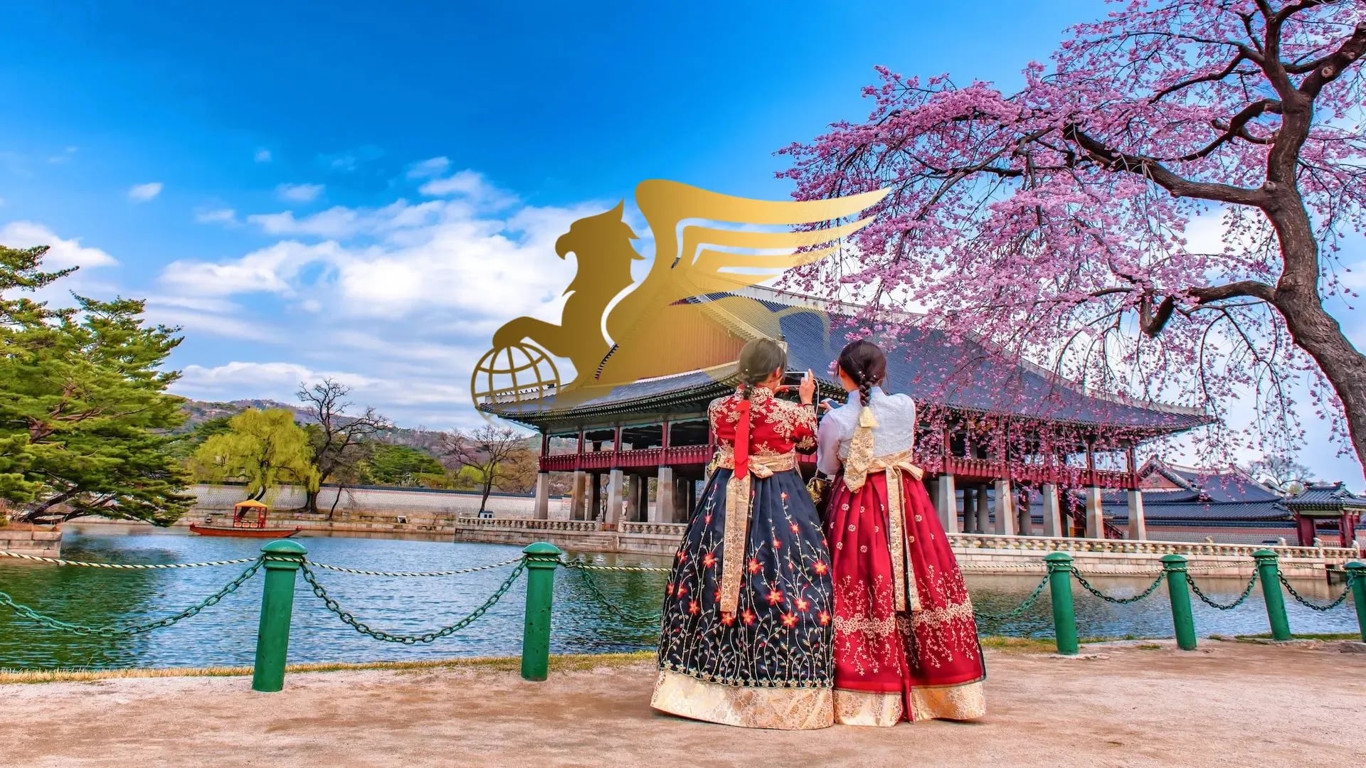 راهنمای کامل تور کره جنوبی؛ همه چیز درباره سفر به سرزمین صبح آرامش - پرواز بلورین شیردال - تصویر وبلاگ