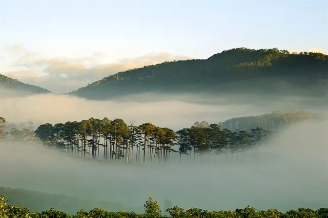 مسیرهای طبیعت‌گردی در ویتنام 