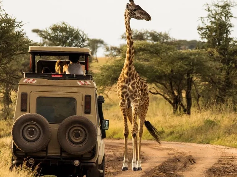 تور فرهنگی آفریقای جنوبی