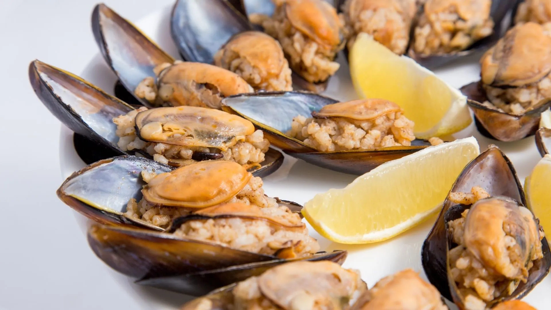 سفر به فتحیه