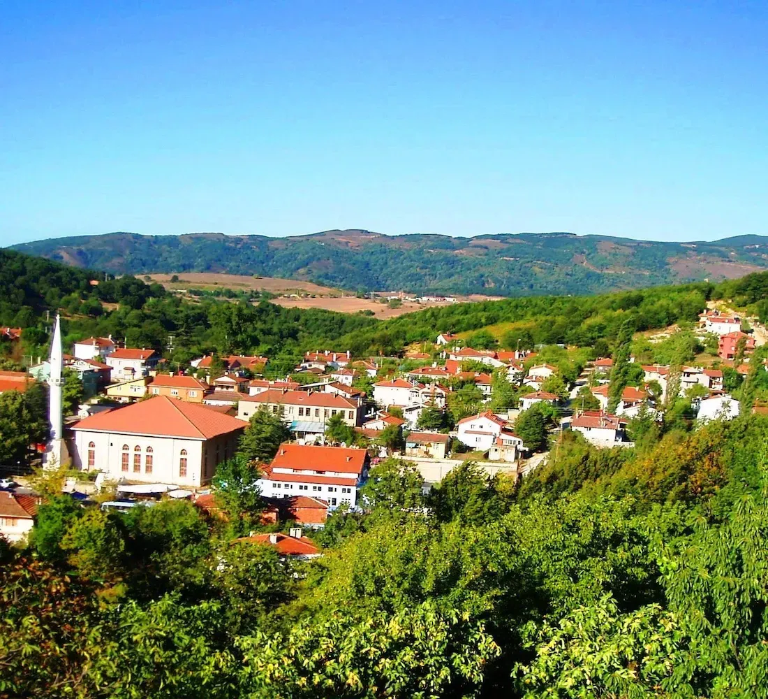 تور یالووا ترکیه