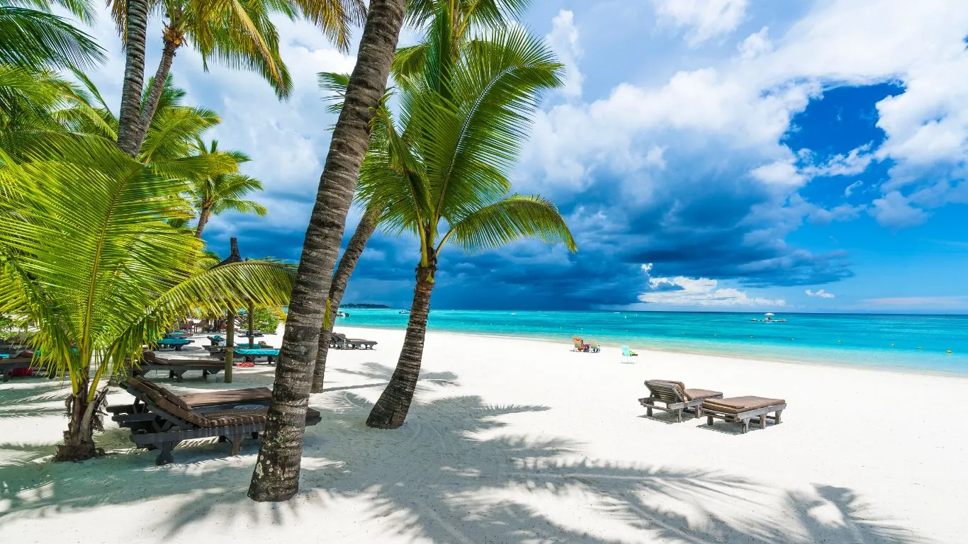 تور موریس آفریقا