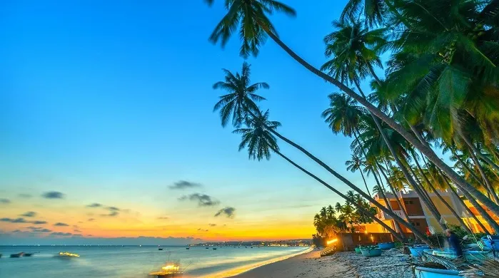 تور هوشی‌مین و فانتیت