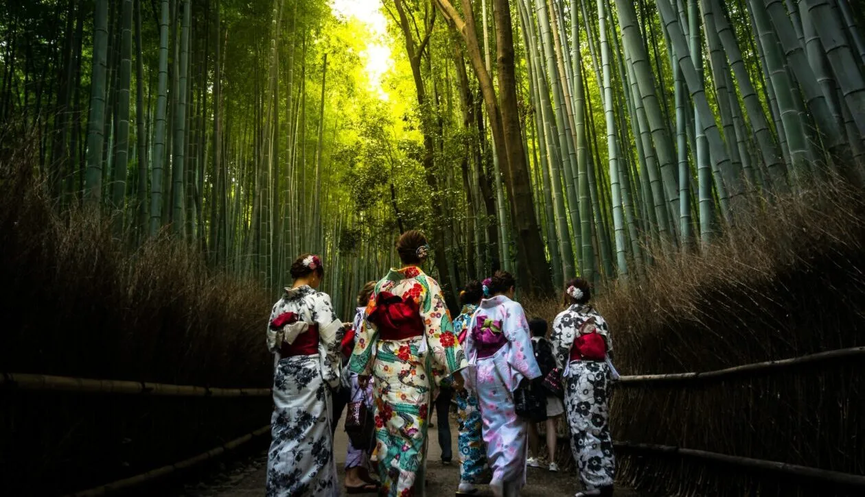 جنگل بامبو ژاپن