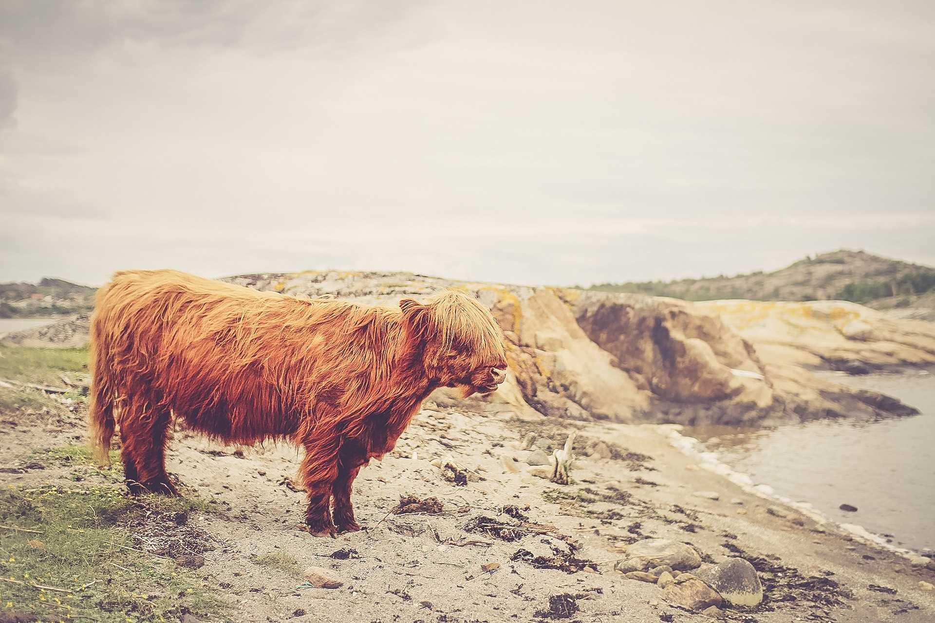 Photo by Elias Carlsson