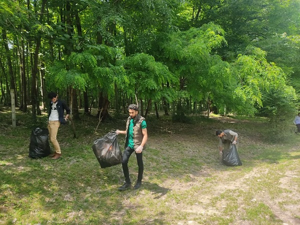 فراخوان پاکسازی جنگل‌های شمال