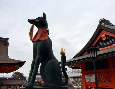 فوشیمی ایناری ژاپن