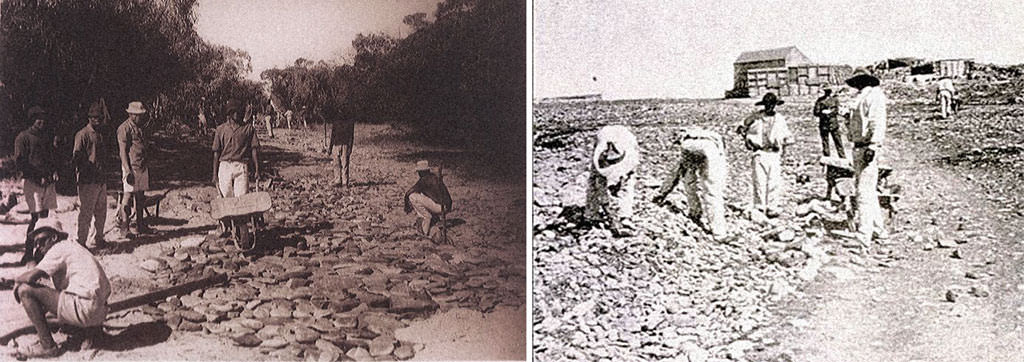 جزیره روبن آفریقای جنوبی