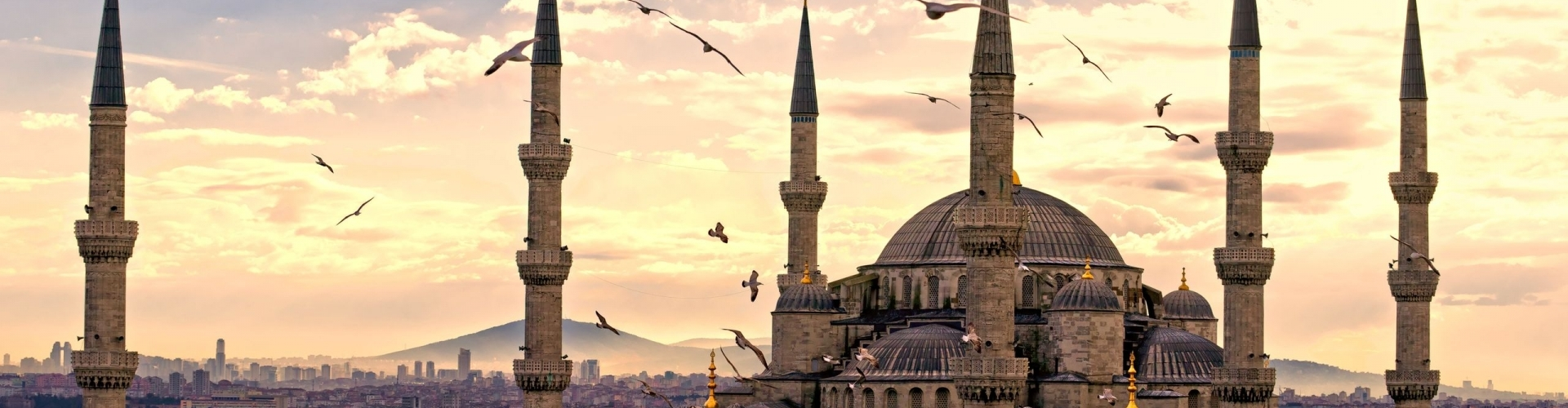 تور دور ترکیه 