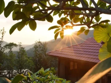 Bao Sheng Durian Farm