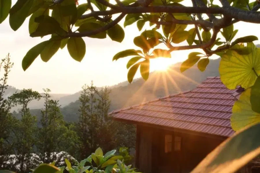 Bao Sheng Durian Farm