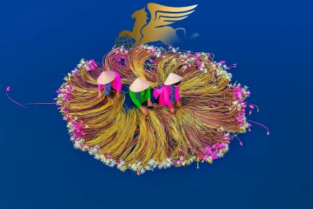 دلتای مکونگ ویتنام