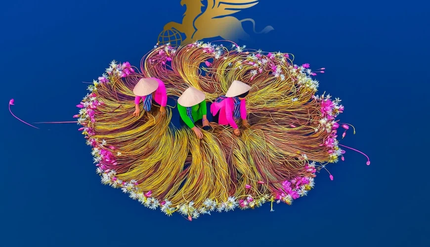 دلتای مکونگ ویتنام